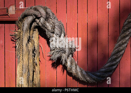 Vecchia svolgimento grigio corda appesa sul rosso parete in legno Foto Stock