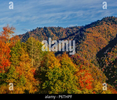 Autunno sopra il fiume Ocolanuftee, Great Smoky Mountains National Park, North Carolina Foto Stock