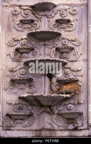 Un gatto che beve acqua da una vecchia cascata decorato acqua potabile fontana esposto nel cortile del Museo di arte islamica in Cairo Egitto Foto Stock