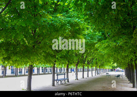 Le Palais Royal, Paris, France Foto Stock