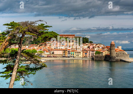 Collioure, Pyrenees-Orientales, Francia Foto Stock