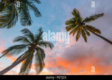 Caraibi, Martinica, Les Anse d'Arlet Grand Anse Beach Foto Stock