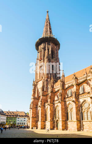 Freiburg im Breisgau, Regione di Friburgo, Foresta Nera (Schwarzwald), Baden-WÃ¼rttemberg, Germania. Foto Stock