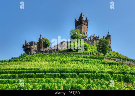 Sul Reichsburg Cochem, la valle di Mosel, Renania-Palatinato, Germania Foto Stock