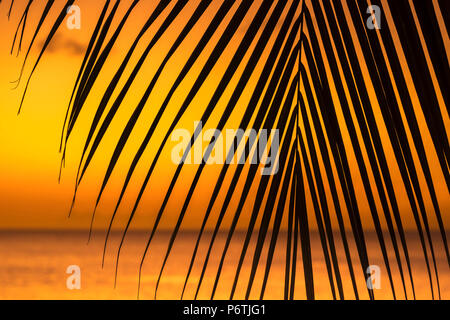 Caraibi, Grenada, Grand Anse Bay, Grand Anse Beach Foto Stock