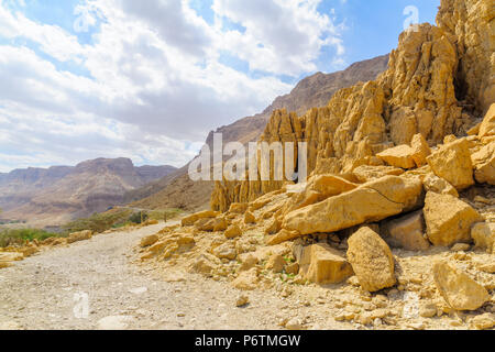 Paesaggio del deserto di scogliere, nella Riserva Naturale di Ein Gedi, Judaean Desert, Israele sud Foto Stock