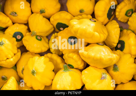 Il giallo di castagno. Zucche colorate. Luminose patissons sul mercato. Giallo patissons. backgrount. Foto Stock