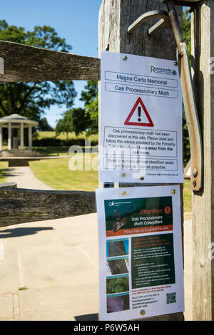 Runnymede, UK. 2 Luglio, 2018. Gli avvisi avvertono il pubblico della presenza della la processionaria della quercia. Foto Stock