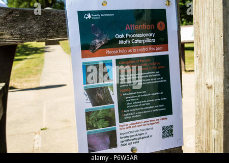 Runnymede, UK. 2 Luglio, 2018. Gli avvisi avvertono il pubblico della presenza della la processionaria della quercia. Foto Stock