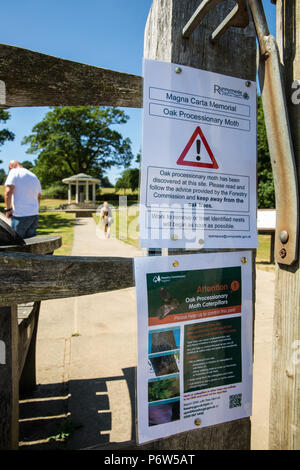 Runnymede, UK. 2 Luglio, 2018. Gli avvisi avvertono il pubblico della presenza della la processionaria della quercia. Foto Stock