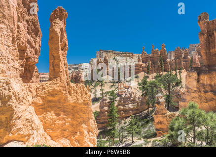 Vista del punto di Bryce in background dal loop pieghevole a Bryce Canyon National Park. Foto Stock