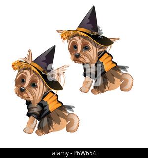 Yorkshire Terrier in costume strega isolati su sfondo bianco. Simpatico cane animato in una strega hat. Schizzo per biglietto di auguri, festosa poster o di inviti per le feste. Gli attributi di vacanza Halloween. Illustrazione Vettoriale