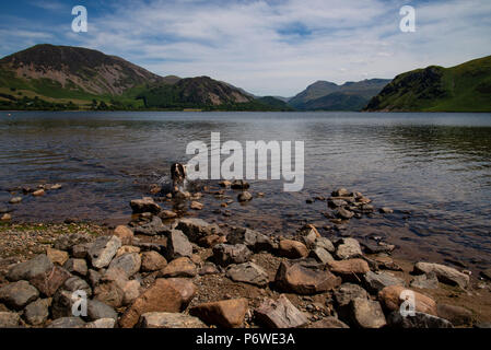 Ennerdale acqua Cumbria occidentale in una calda giornata di sole nel mese di luglio con una springer spaniel cane che corre verso la telecamera dall'acqua Foto Stock