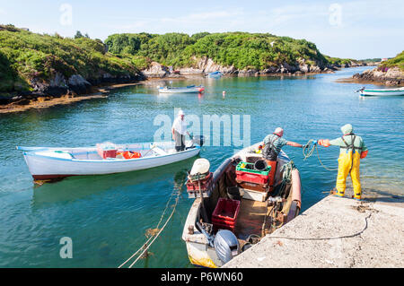 Lackbeg, Burtonport, County Donegal, Irlanda meteo. Il 3° luglio 2018. Granchi e aragoste pescatori arrivano di nuovo in questo piccolo porto in Irlanda del nord-ovest della costa su un altro giorno di tempo caldo. Credito: Richard Wayman/Alamy Live News Foto Stock