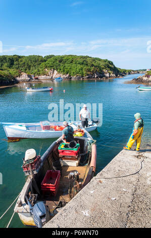 Lackbeg, Burtonport, County Donegal, Irlanda meteo. Il 3° luglio 2018. Granchi e aragoste pescatori arrivano di nuovo in questo piccolo porto in Irlanda del nord-ovest della costa su un altro giorno di tempo caldo. Credito: Richard Wayman/Alamy Live News Foto Stock