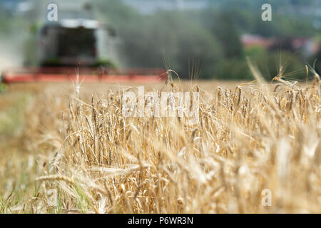 03 luglio 2018, Germania, Goettingen: agricoltore per joint business Holtensen/Lenglern/Parensen, Arnd von Roden, la raccolta di orzo con una mietitrebbia. Il raccolto nel sud della Bassa Sassonia è ora in pieno svolgimento. Foto: Swen Pförtner/dpa Foto Stock