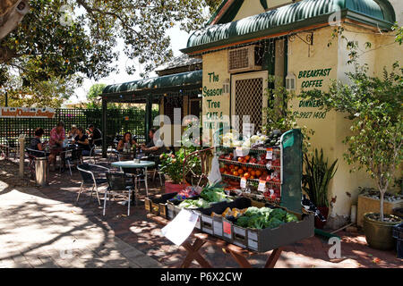 Stagione Tree Cafe, Dongara, Australia occidentale Foto Stock