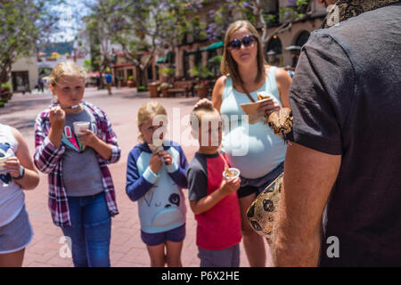 Un giovane adulto uomo ispanico tenendo la sua Boa constrictor per un gruppo di bambini per vedere e porre domande su State Street a Santa Barbara, Califo Foto Stock