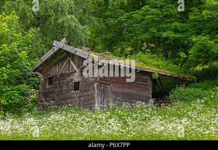 Vecchia capanna vicino a Saint Gertrude, Val d'Ultimo, Alto Adige Foto Stock