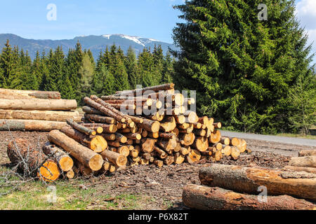 Registri sovrapposti di legno raccolto accanto alla strada forestale, con le montagne sullo sfondo in una giornata di sole. Foto Stock