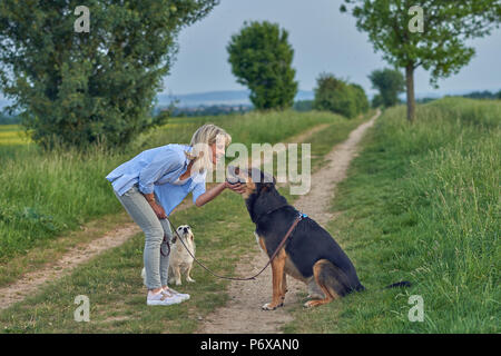 Bionda donna sorridente stroking big dog durante la passeggiata lungo la strada rurale Foto Stock