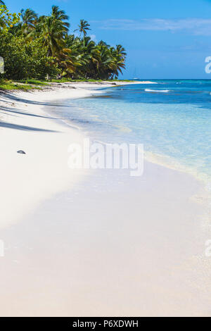 Repubblica Dominicana, Punta Cana, Parque Nacional del Este, l'isola di Saona, Catuano Beach Foto Stock