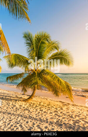 Mano Juan, Saona Island, Parco Nazionale Orientale (Parque Nacional del Este), Repubblica Dominicana, Mar dei Caraibi. Foto Stock