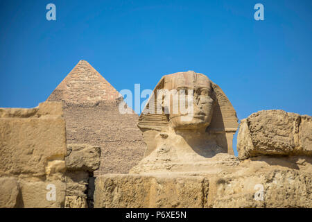 La sfinge e la piramide di Khafre (Chephren), Piramidi di Giza, Giza, il Cairo, Egitto Foto Stock