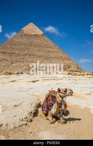 Piramide di Khafre (Chephren), Piramidi di Giza, Giza, il Cairo, Egitto Foto Stock