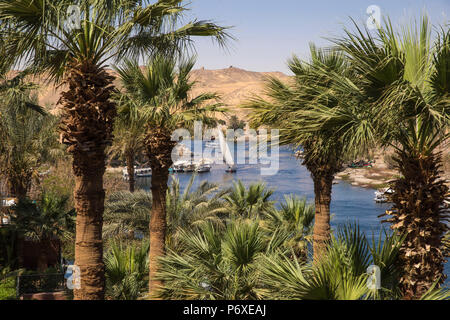 Egitto Alto Egitto, Aswan, giardini presso il Sofitel Legend Old Cataract hotel situato sulle rive del fiume Nilo Foto Stock