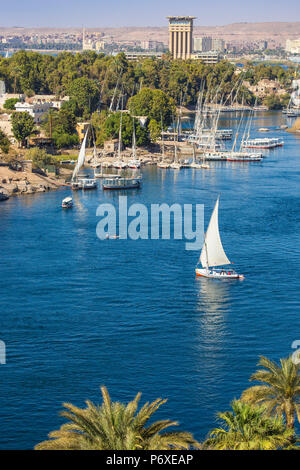 Egitto Alto Egitto, Aswan, vista di Aswan e Fiume Nilo Foto Stock