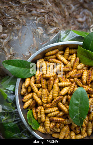 Worm per la vendita in Dong Xuan Market di Hanoi , Vietnam Foto Stock