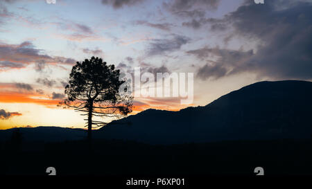 Provenza delle colline e dei piedi delle montagne delle Alpi in estate, vicino a Grasse Foto Stock