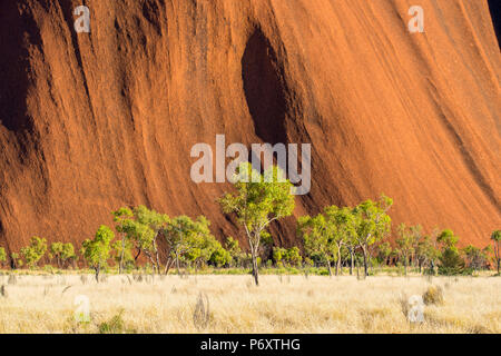 Uluru (Ayers Rock), Uluru-Kata Tjuta National Park, il Territorio del Nord, l'Australia centrale, Australia. Foto Stock