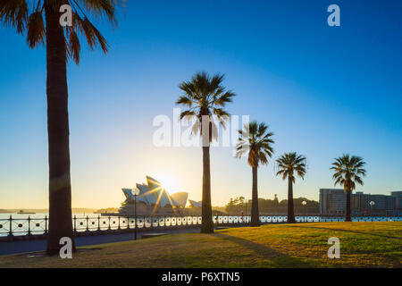 Sydney Opera House di sunrise, Sydney, Nuovo Galles del Sud, Australia Foto Stock