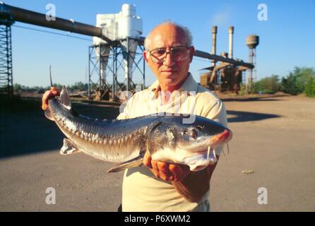 Allevamento di storioni 'Agroittica Lombarda' a Calvisano (Brescia, Italia), utilizza le sue calde acque di scarico di un mulino di acciaio al fine di riscaldare i bacini Foto Stock