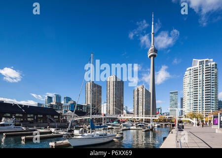 Canada Ontario, Toronto, Harbourfront, CN Tower Foto Stock