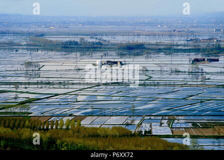 L'Italia, campi di riso in provincia di Vercelli visto dalla prima delle colline del Monferrato Foto Stock