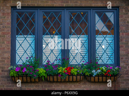 Vasi da fiori con fiori colorati al di fuori di windows Foto Stock