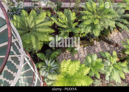 Scale a spirale presso la recentemente restaurata Tempperate House presso i Royal Botanic Gardens di Kew , Kew Gardens, Londra, Regno Unito Foto Stock