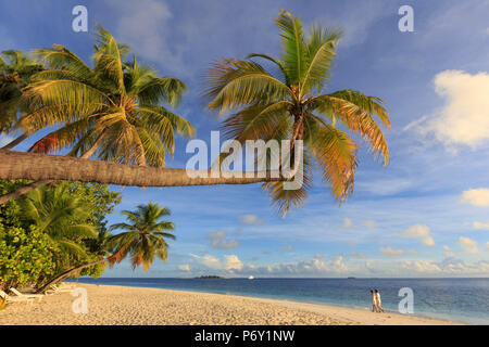Maldive, South Ari Atoll, isola Thudufushi, Diamanti Thudufushi Resort, giovane di camminare sulla spiaggia (MR) Foto Stock