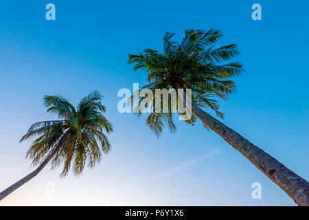 Malaysia, Pahang, Pulau Tioman (Isola di Tioman), il Berjaya Beach Foto Stock