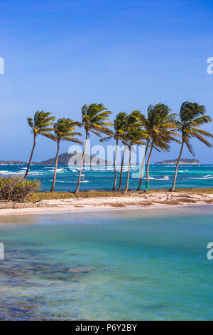 St Vincent e Grenadine, Mayreau, Saltwhistle Bay Foto Stock