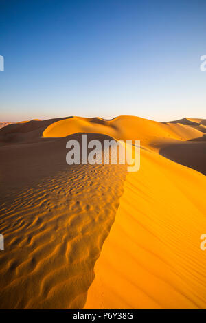 Empty Quarter (Rub Al Khali), Abu Dhabi, Emirati Arabi Uniti Foto Stock