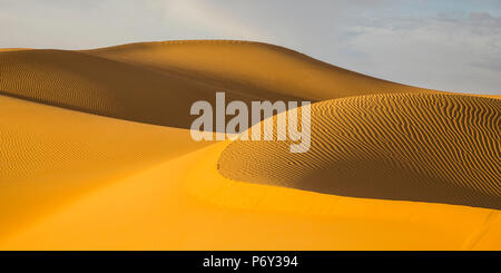 Empty Quarter (Rub Al Khali), Abu Dhabi, Emirati Arabi Uniti Foto Stock
