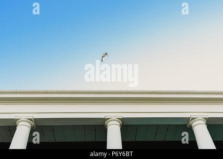 Seagull sorvolando un hotel Foto Stock