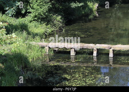 I druidi Ponte Pietra Nostel Priory Yorkshire Foto Stock