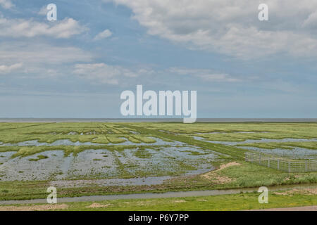Il Wadden Sea fango-appartamenti di una palude di marea terra dietro le dighe al waddensea e la costa di Groningen nei Paesi Bassi Foto Stock