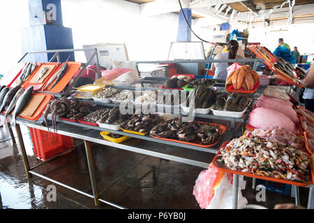 La vendita di vongole, cozze, gamberi e polpi e altri piatti a base di frutti di mare freschi su vassoi di diversi colori Foto Stock