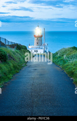 Baily lighthouse, Howth, County Dublin, Irlanda, Europa. Foto Stock